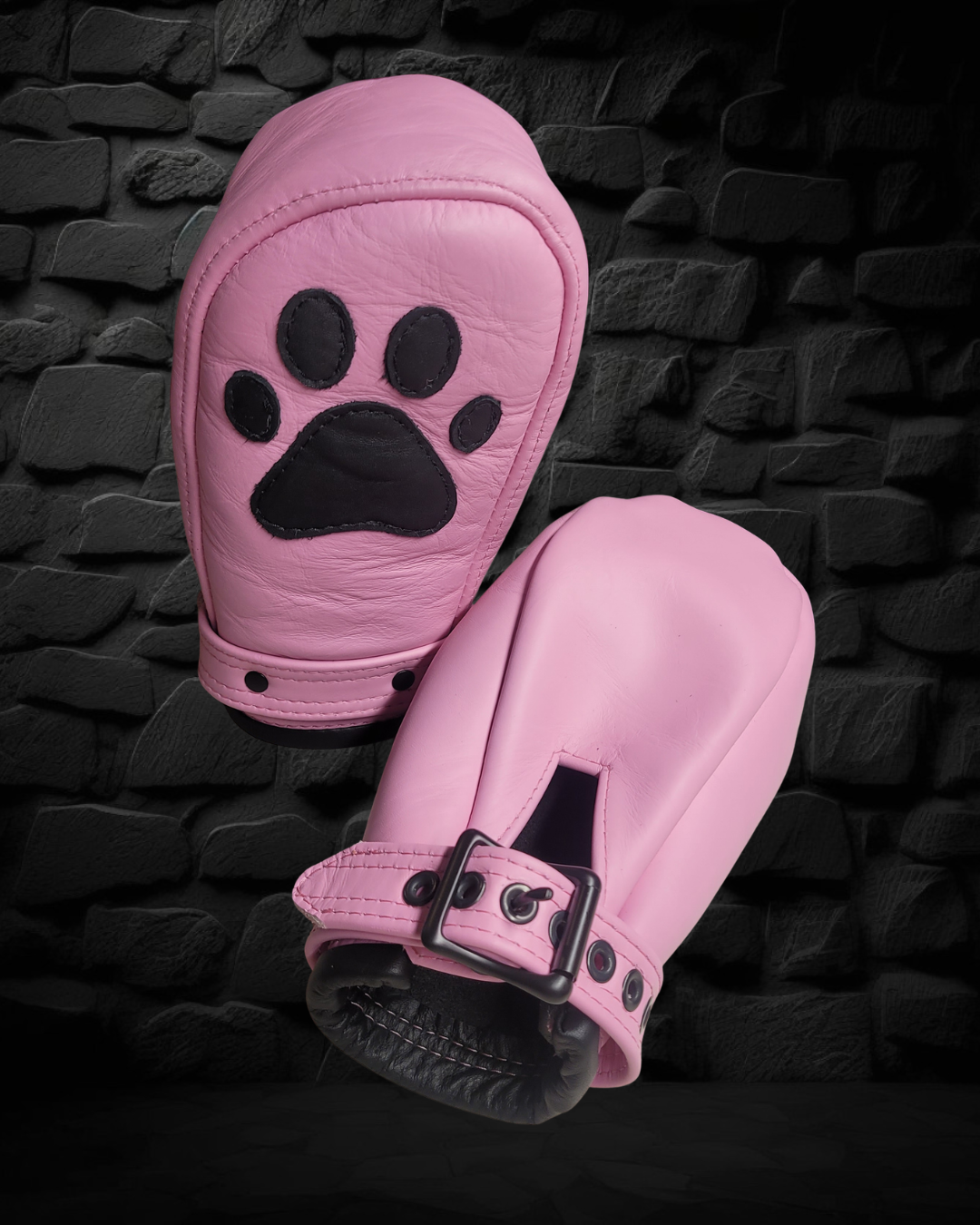 Pet Mitts