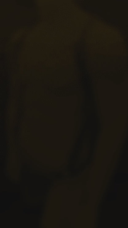 Suspender Harness & Strapless Cod Piece Jock