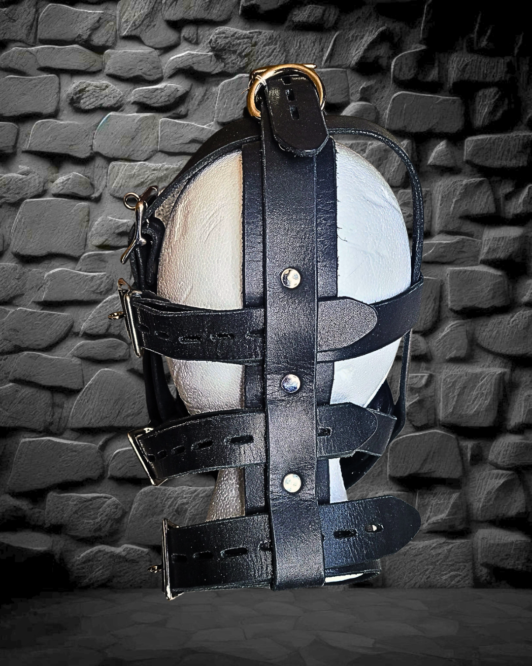 Muzzle Head Harness