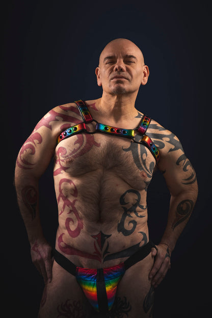 Pride-Inspired Leather Bulldog Harnesses