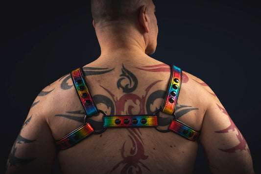 Pride-Inspired Leather Bulldog Harnesses