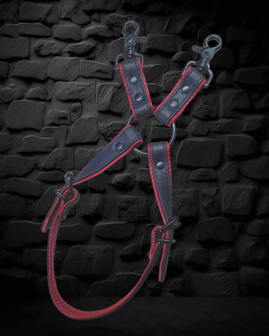 Leg Harness