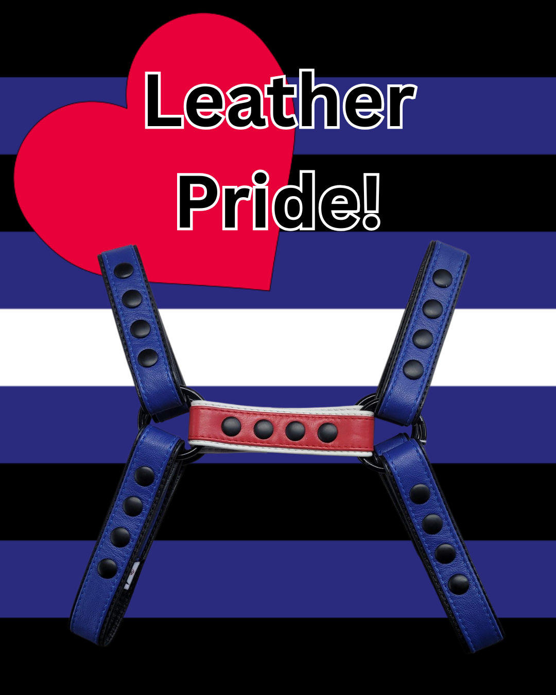 Pride-Inspired Leather Bulldog Harnesses
