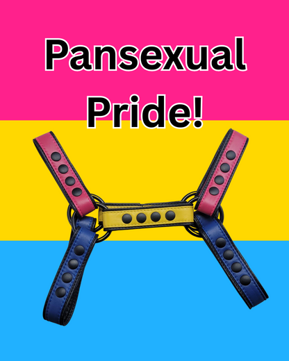 Pride-Inspired Leather Bulldog Harnesses