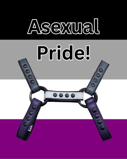 Pride-Inspired Leather Bulldog Harnesses