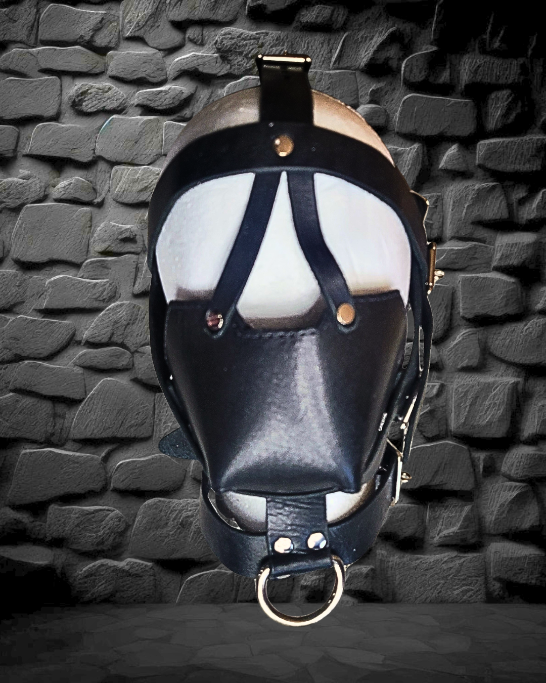Muzzle Head Harness