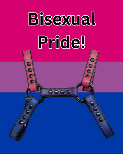 Pride-Inspired Leather Bulldog Harnesses