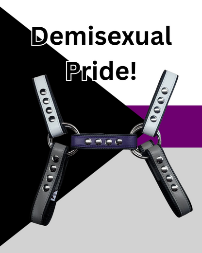 Pride-Inspired Leather Bulldog Harnesses