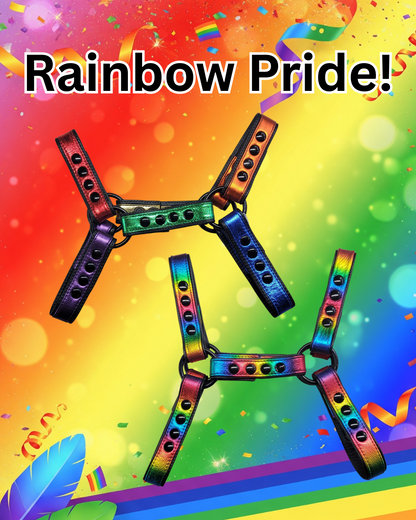 Pride-Inspired Leather Bulldog Harnesses