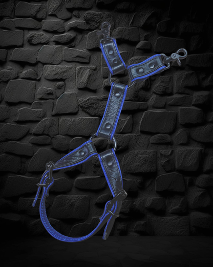 Leg Harness