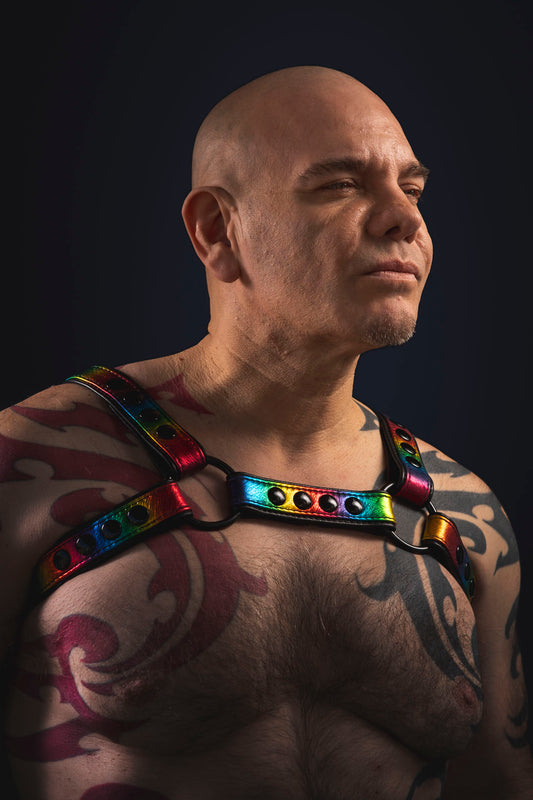 Pride-Inspired Leather Bulldog Harnesses