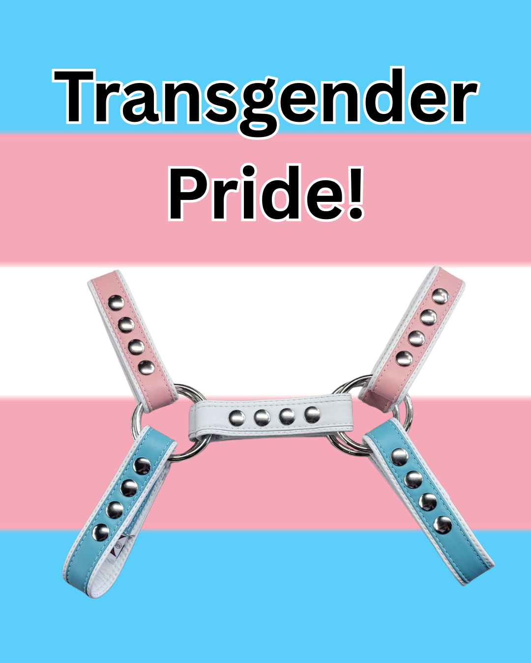 Pride-Inspired Leather Bulldog Harnesses